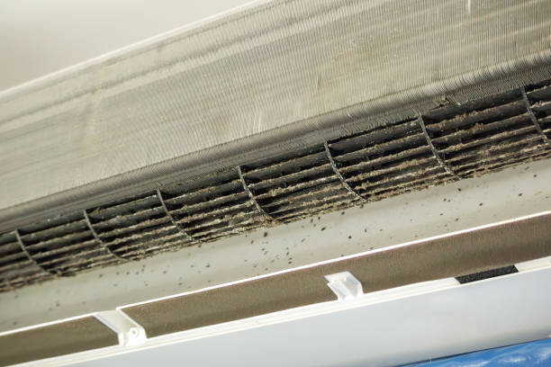 Best Professional Duct Cleaning Services  in Bayard, NM