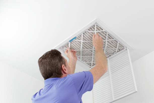 Best Home Air Vent Cleaning  in Bayard, NM